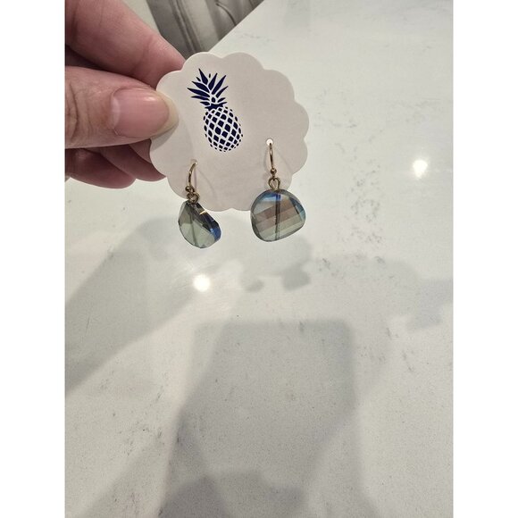 Round Abalone & Resin Dangle Earrings Made In India Lead & Nickel Compliant - Picture 3 of 3